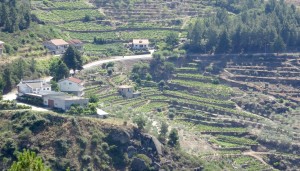 Pres de la ville de Murca