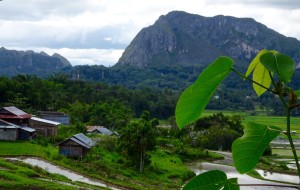 Première vue du pays Toraja