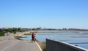 Au milieu des rizières 