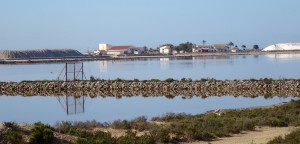 Salines de Torrevieja