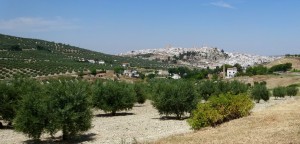 Colline aux alentours de Luke