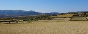 Céréales malgré l'altitude et le relief