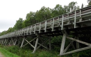 Goulotte d'acheminement des troncs vers le fleuve par flottage 