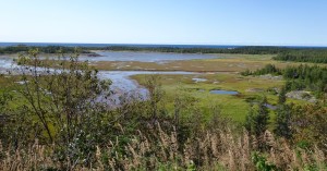 La Cote-Nord côté océan 