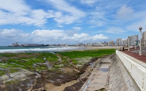 La plage des Sables d'Olonne et ses algues à marée basse