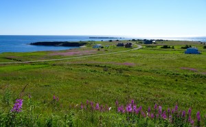 Petite anse a St-George-de-Malbaie